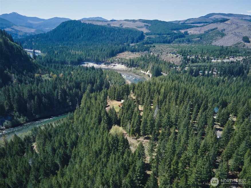 1 Loowit Ln, Cougar, WA 98616 - photo 1