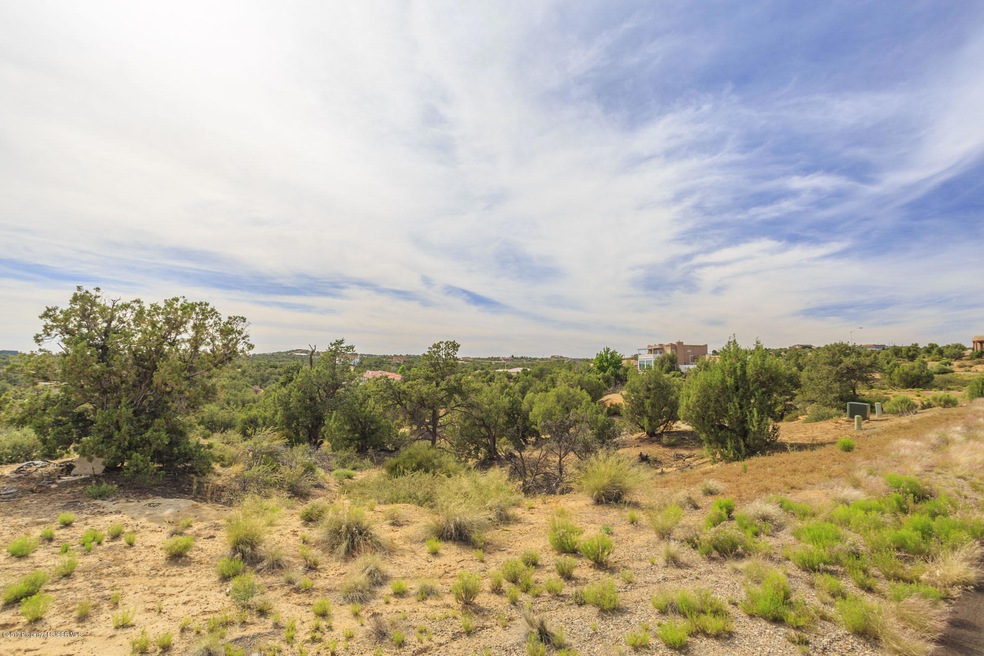 7501 Las Brisas Trail, Farmington, NM 87402 - photo 1