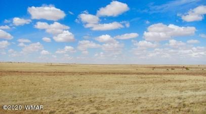 Beautiful Rolling Plains