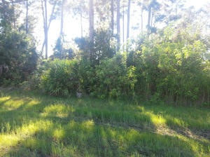 3650 SW Savona Bv, Port Saint Lucie, FL 34953 - photo 1