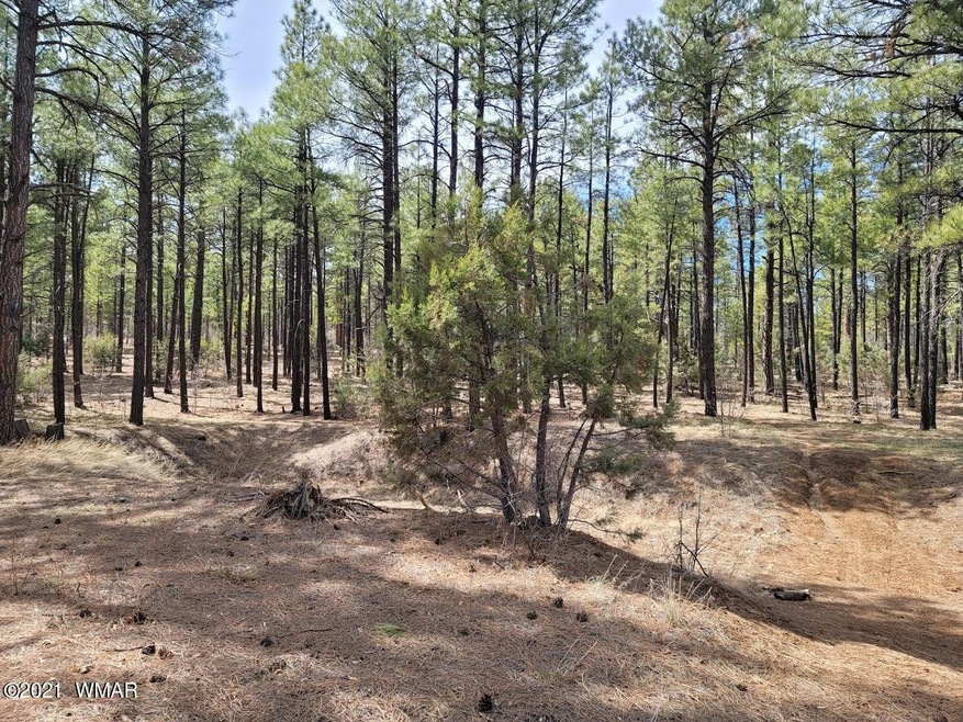 2350 S Trillium Lane