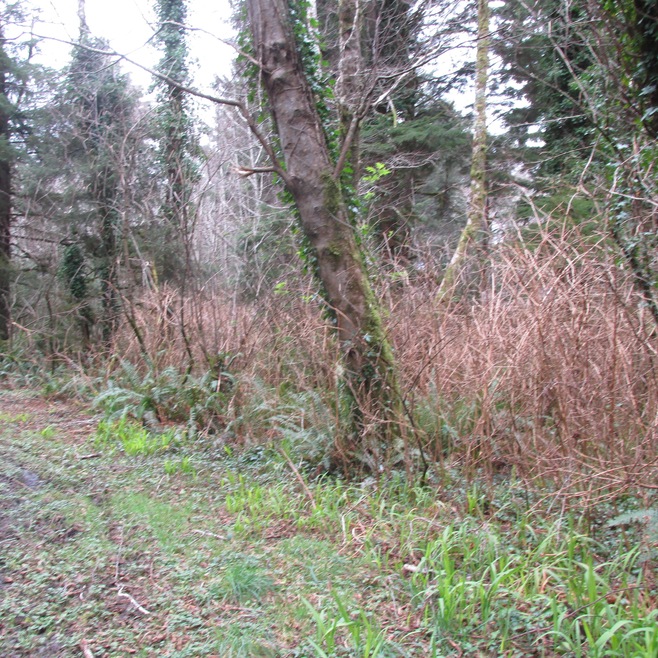 .47 ACRE PARCEL