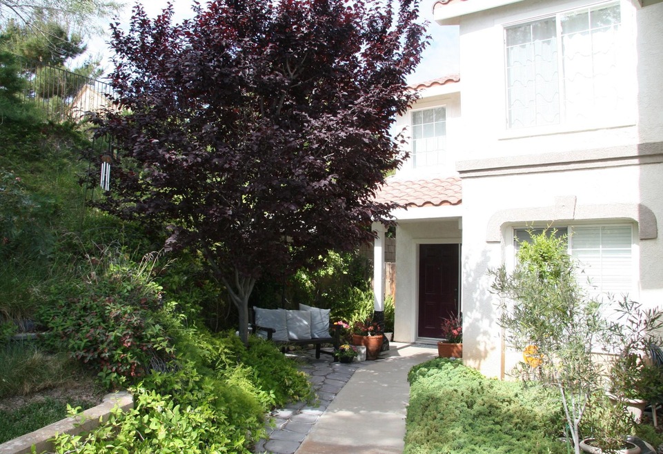 42 Front House 2