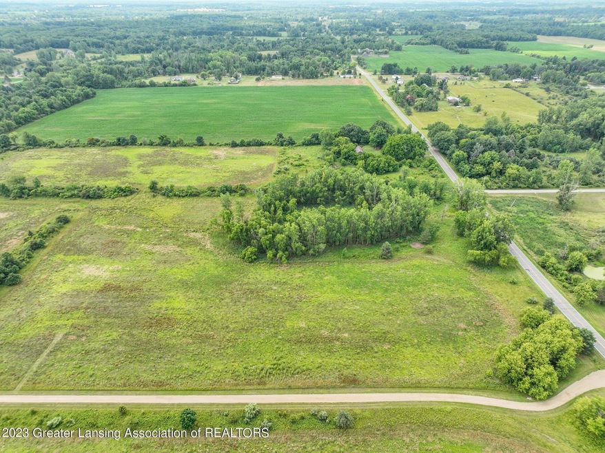 3-web-or-mls-wacousta-rd