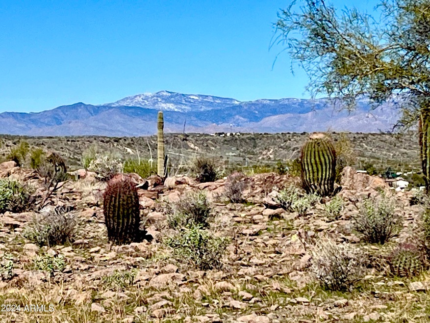 View Lot