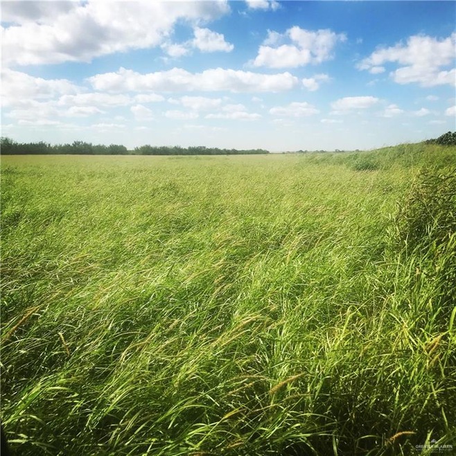 Pasture