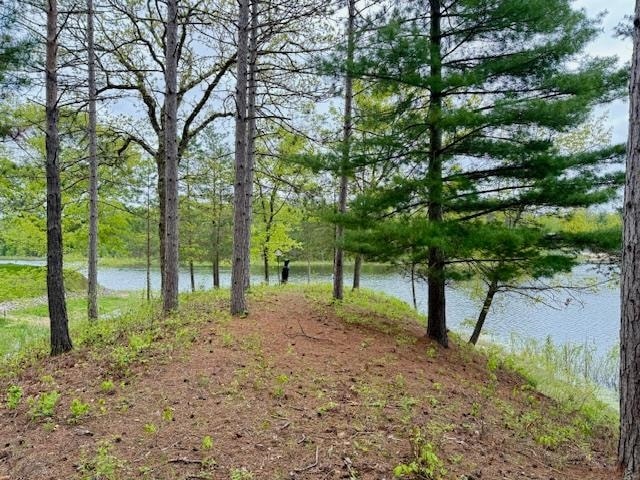 4682 Mohawk Trail, Gladwin, MI 48624 - photo 1