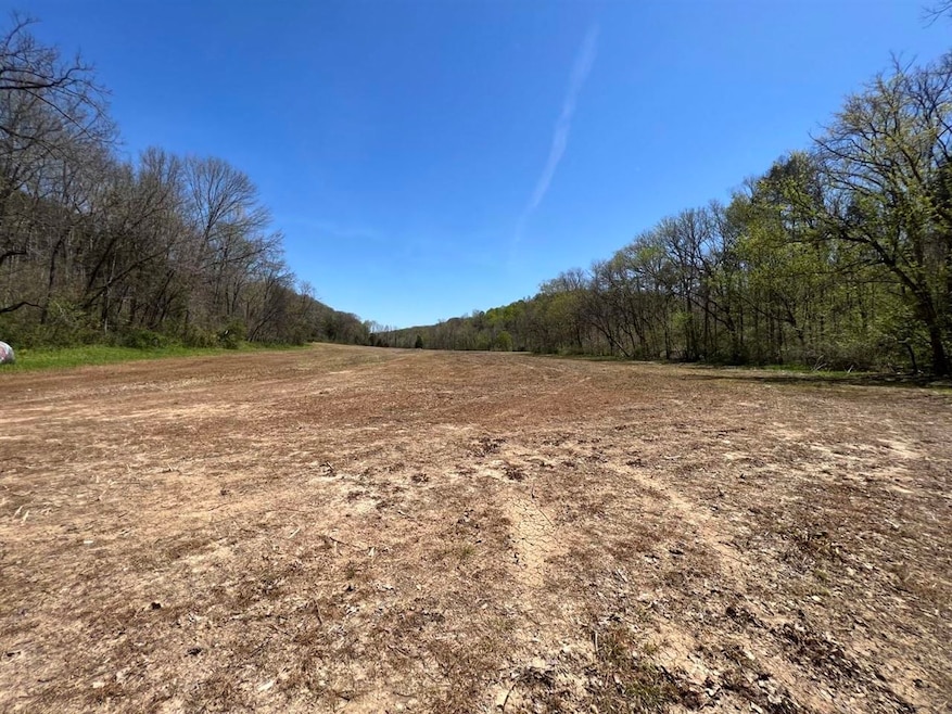 151 Acres Carl Hurt Rd, Scottsville, KY 42164 - photo 1
