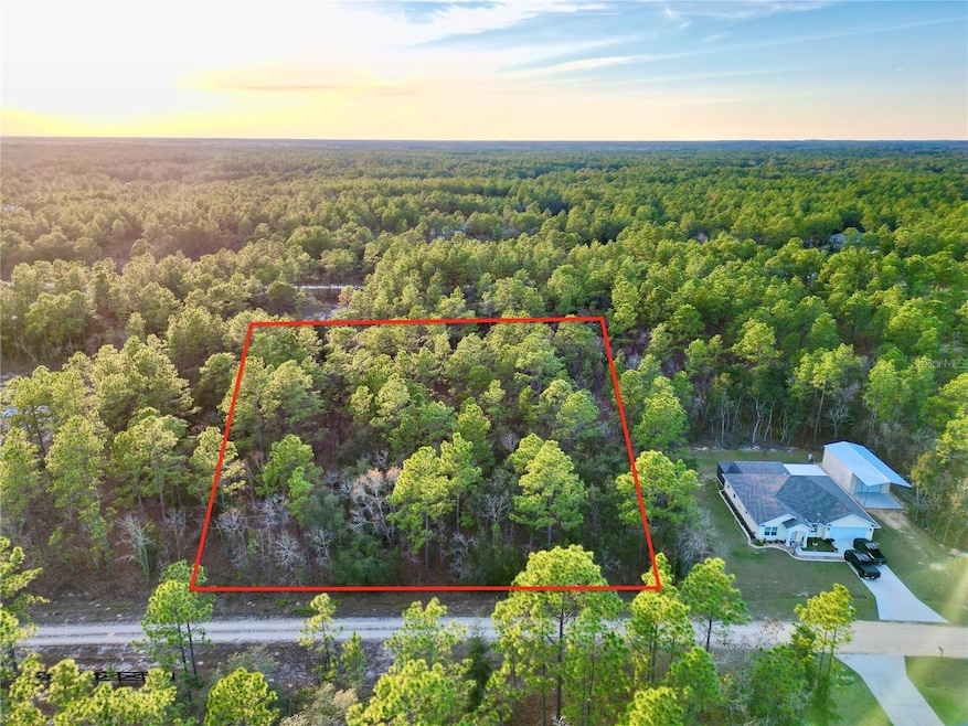 0 Tbd Sw 124th Terrace Rd, Ocala, FL 34481 - photo 1