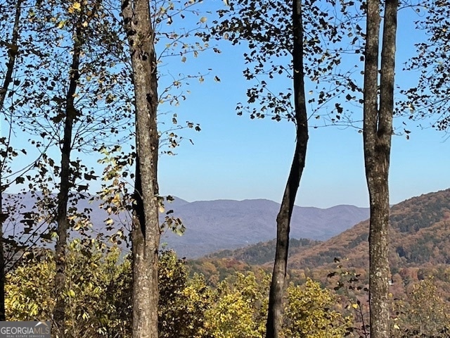 1189 Walnut Ridge unit 4044, Ellijay, GA 30536 - photo 1