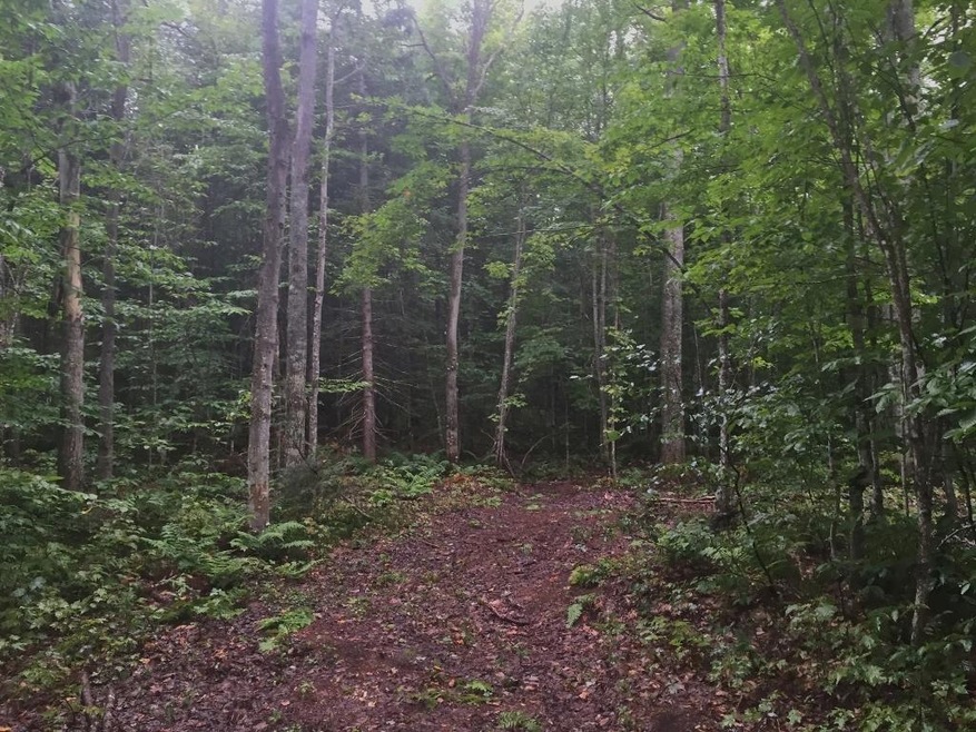 10 Acres - Tahquamenon Woods