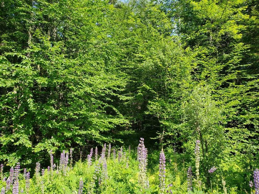 00 Balancing Rock Rd, Franconia, NH 03580 - photo 1