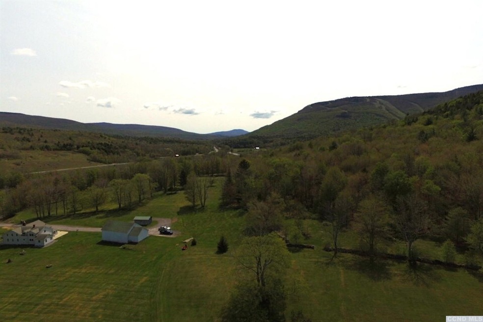 336 Deming Rd, Hunter, NY 12442 - photo 1