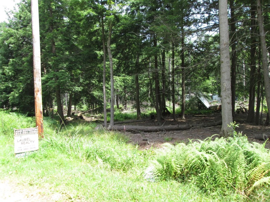 403 Elk Rd, Heath Township, PA 15860 - photo 1