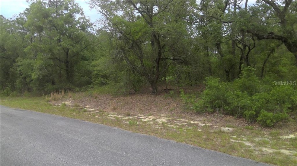 24075 SW Beaver Dr unit 1, Dunnellon, FL 34431 - photo 1