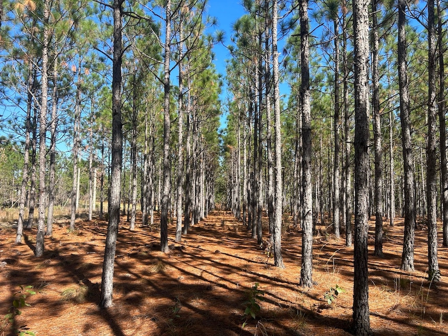 5710 Lake Robinson Rd, Hartsville, SC 29550 - photo 1