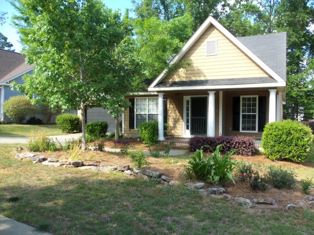 Main View