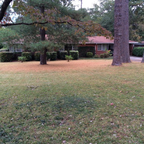 3115 Applegate Ln, Augusta, GA 30909 - photo 1