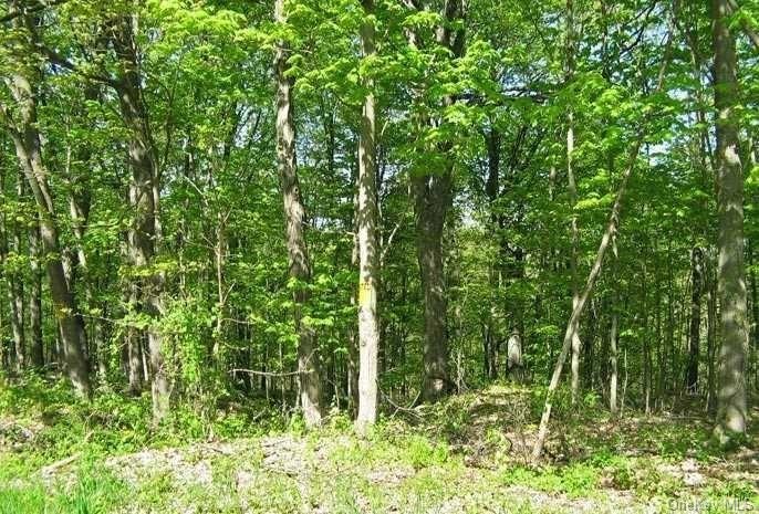 0 Woods Rd unit ONEHM370315, Germantown, NY 12526 - photo 1