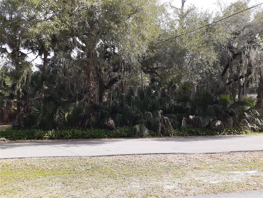 Front view of the lot from the Spring to Spring Trail across the street.
