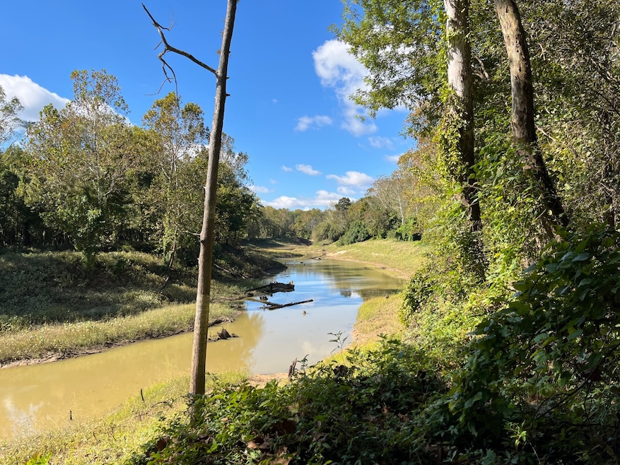 0 Cavass Rd, Woodville, MS 39669 - photo 1