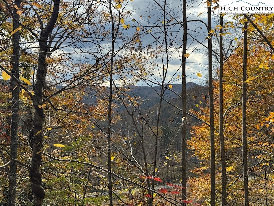 TBD Globe Rd, Lenoir, NC 28645 - photo 1