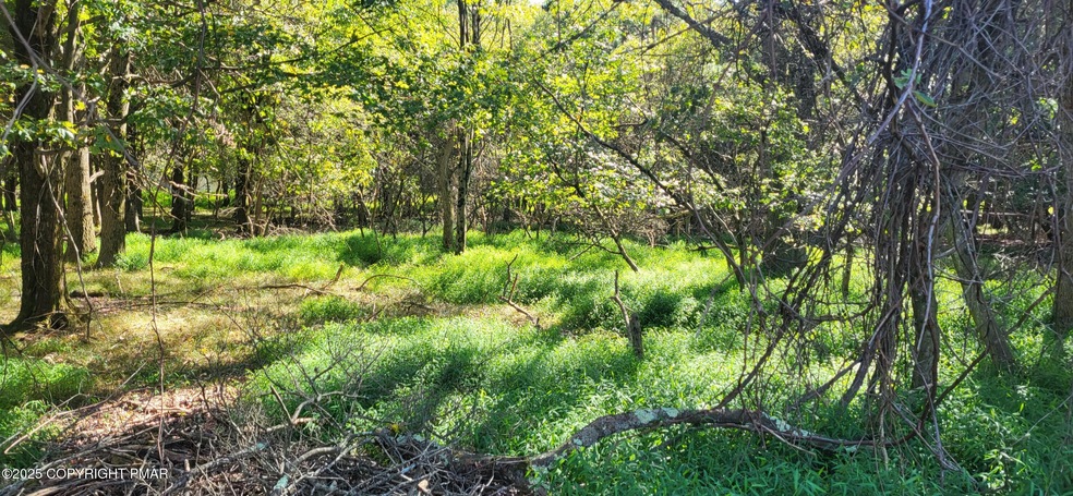 0 Parker Mew, Towamensing Trails, PA 18210 - photo 1