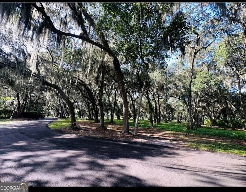 Lot #3 full of moss covered Live Oaks