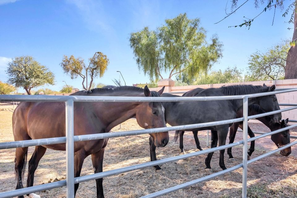 1133 E Calle Monte Vista, Tempe, AZ 85284 - photo 1