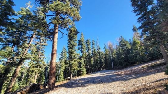 1070 Strawberry Point Rd, Duck Creek Village, UT 84762 - photo 1