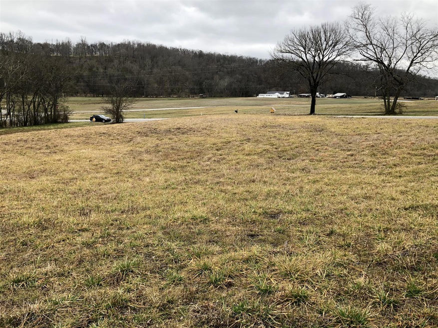 View from Back of Property, Looking Toward Road