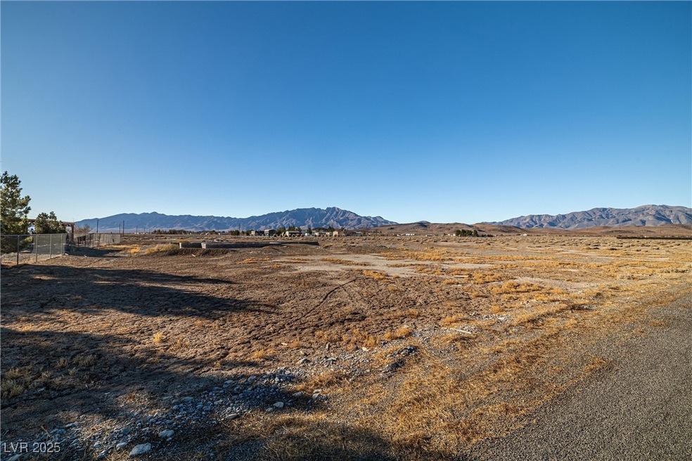 4051 Forest Rd, Pahrump, NV 89048 - photo 1