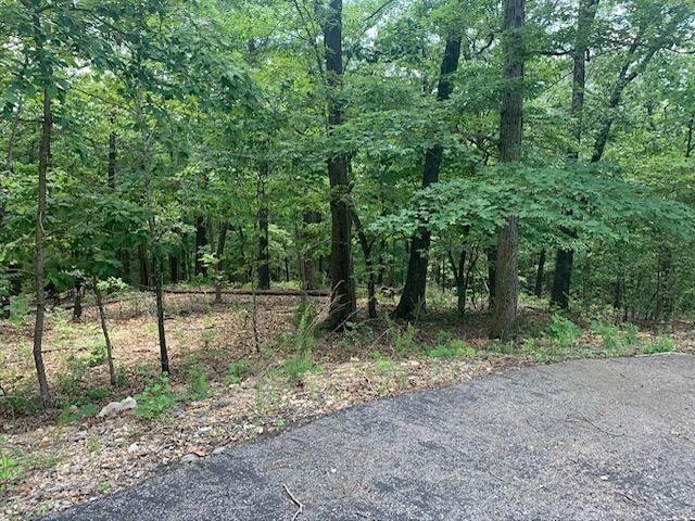 14 & 15 Buttonwood Hills, Kimberling City, MO 65686 - photo 1