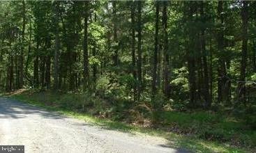 0 Crooked Pine Dr, Berkeley Springs, WV 25411 - photo 1