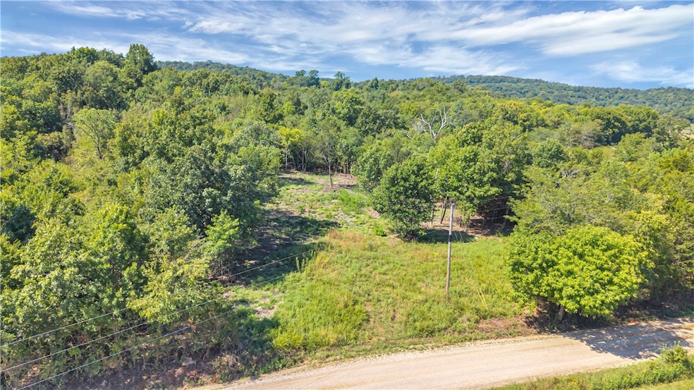 TBD Dobbs Mountain Rd, Evansville, AR 72729 - photo 1