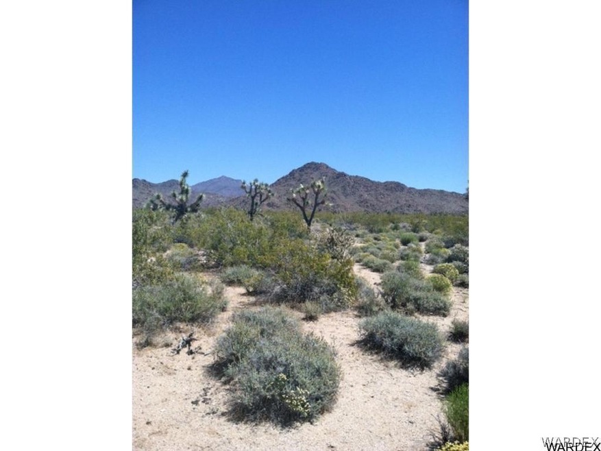 2040 S Gene Autry Rd, Yucca, AZ 86438 - photo 1