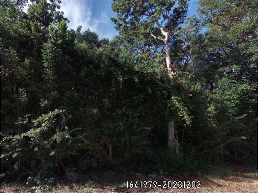 Poinsetta Dr