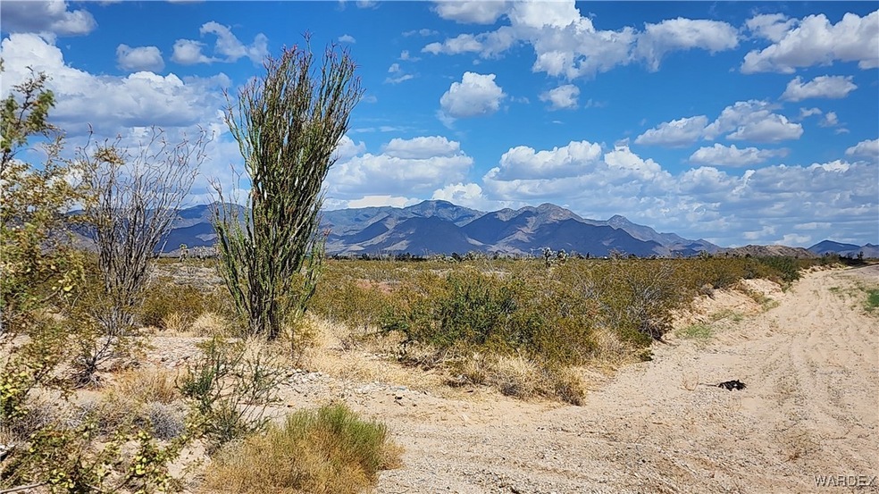 3052 Knox Alamo, Yucca, AZ 86438 - photo 1