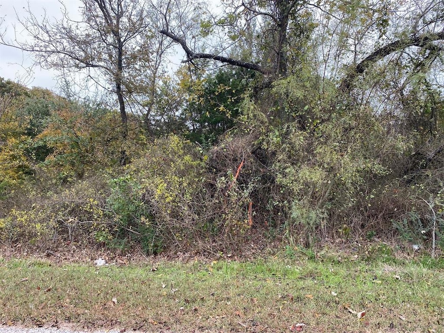 4245 Bay Shore Cir, Granbury, TX 76049 - photo 1