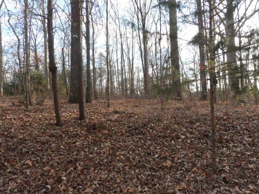 117 Shannon Dr, Pendleton, SC 29670 - photo 1