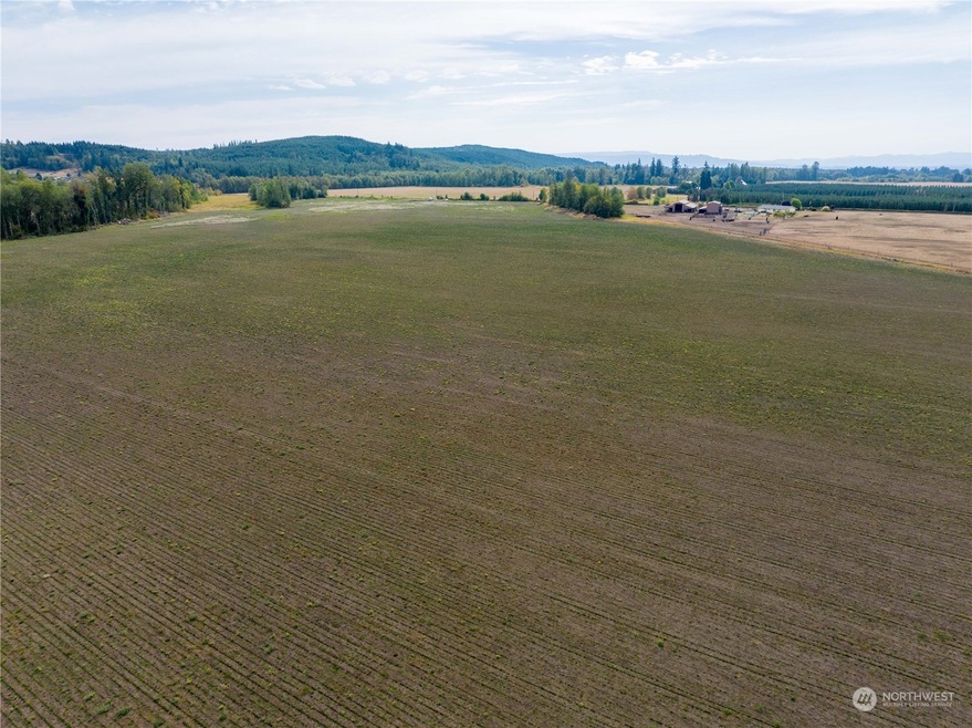 0 1 Maw Rd, Toledo, WA 98591 - photo 1