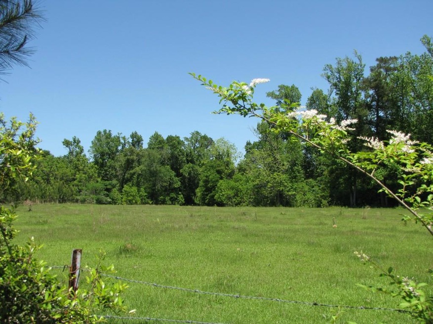 Highway 437 pasture view