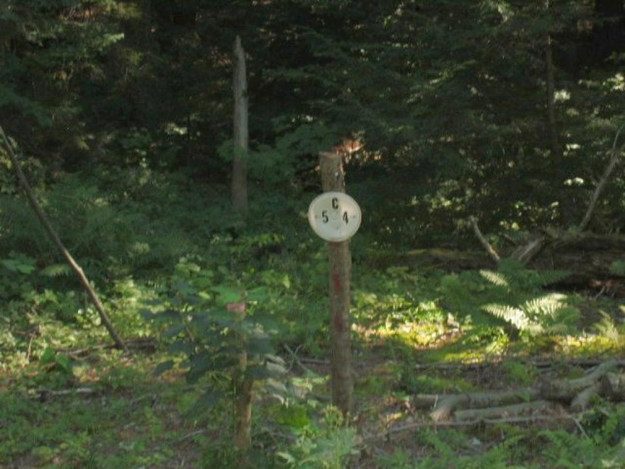 0 Cow Path 40 Lot C4 unit 4510424, Marlboro, VT 05344 - photo 1