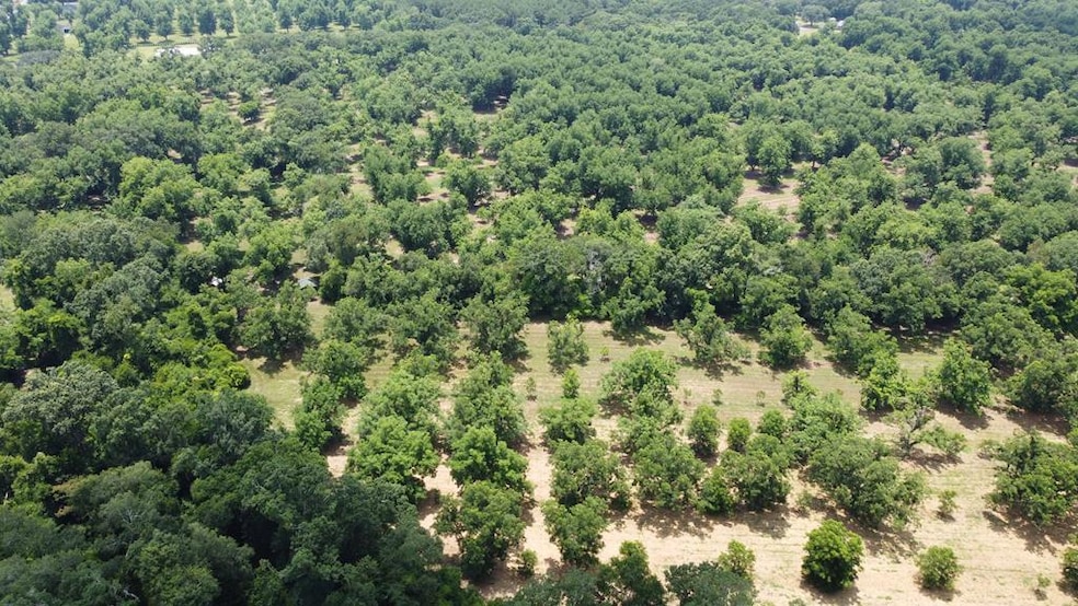 0 Hwy 3n unit 161947, Baconton, GA 31716 - photo 1