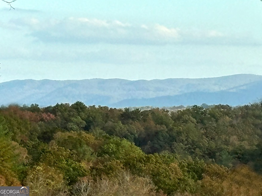 LOT 2 Mt Springer Rd, Ellijay, GA 30540 - photo 1