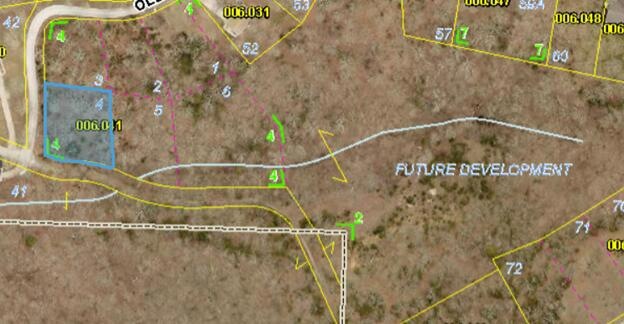 Lot 4 O'Leary Dr, Kimberling City, MO 65686 - photo 1