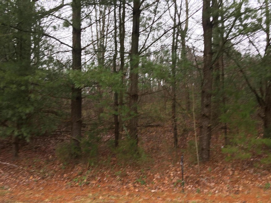 00 Dogwood Hills Rd, Fall Branch, TN 37656 - photo 1