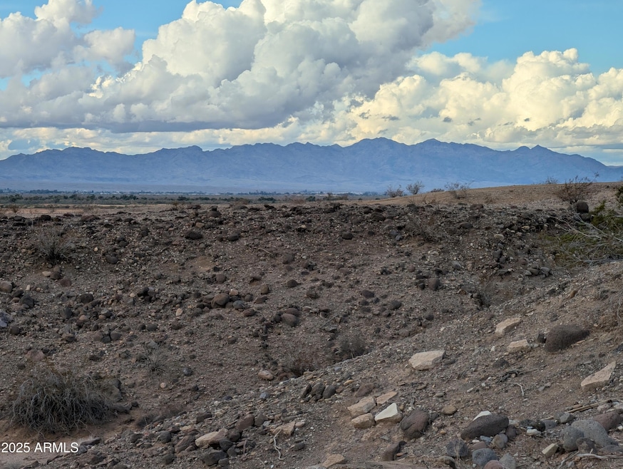 13313 Alturas Rd unit 8, Golden Shores, AZ 86436 - photo 1