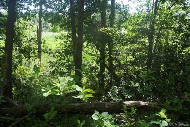 1309 Mount Olive Cohoke Rd, King William, VA 23086 - photo 1