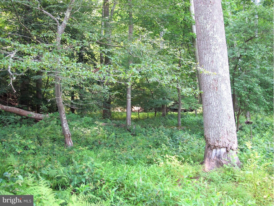 2083 Haverford Dr, Crownsville, MD 21032 - photo 1